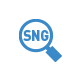 Consulta a SNG